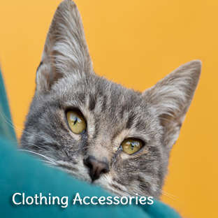 Cat  Clothing and Accessories