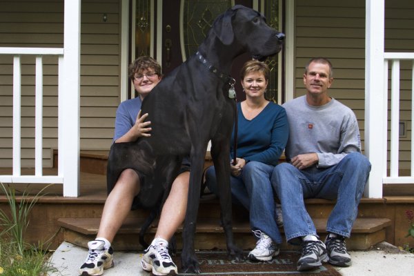 Zeus Worlds Tallest Dog dies at 5
