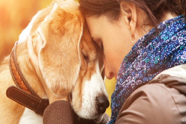 Pets help you fight Depression