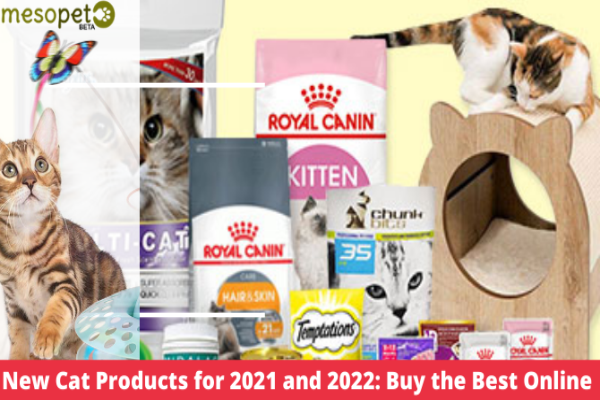 New Cat Products for 2021 and 2022: Buy the Best Online