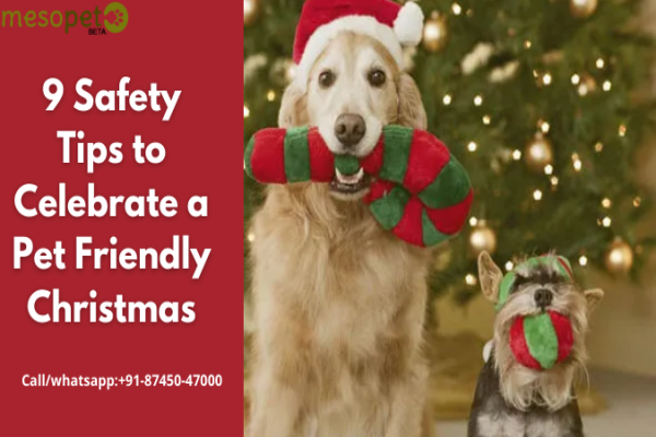 Nine Safety Tips to Celebrate a Pet Friendly Christmas