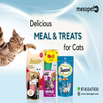 Buy Cat Food & Accessories Online to Serve the Particular Objectives