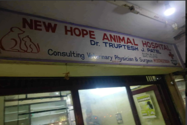 New Hope Animal Hospital | Online Pet Store - Pet Clinics, Doctors & Trainer
