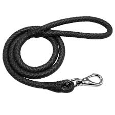 Leather Dog Rope Leash for Small and Medium Dogs