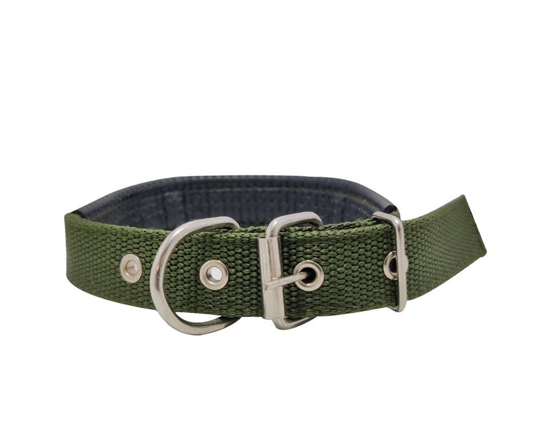 Nylon Strong and Durable 0.75 Inch Dog Collar Dog Belt