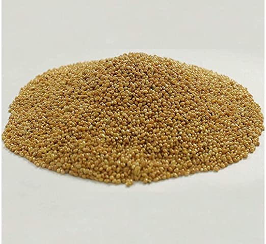 SISO Foxtail Millet - Kangni Seed