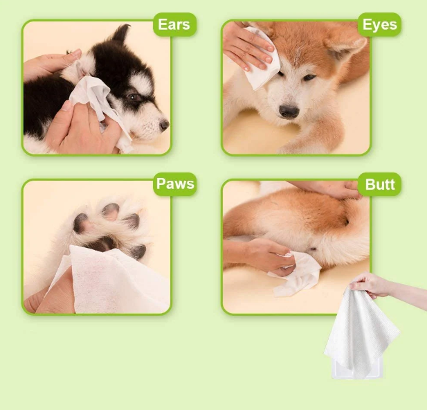 Pets Empire Pet Wipes Dog Cleaning Wipes Natural Aloe Effective Pet Wipes  for Dogs and Cats Friendly Deodorizing Dog Wipes for Cleaning Face Butt  Eyes